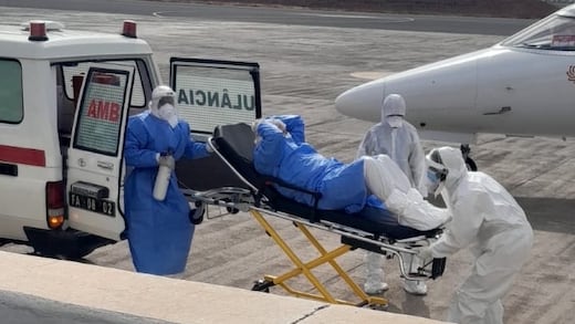OMS confirma ocho casos de hantavirus tipo Andes y alerta por su detección