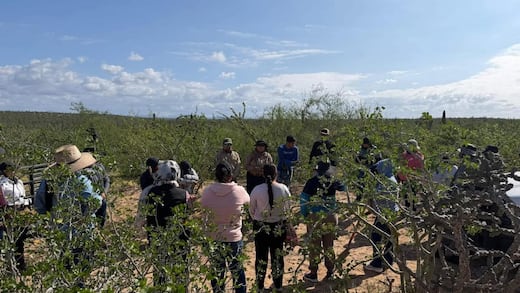 Colectivo Búsqueda X La Paz confirma hallazgo de 5 fosas en Comondú, BCS