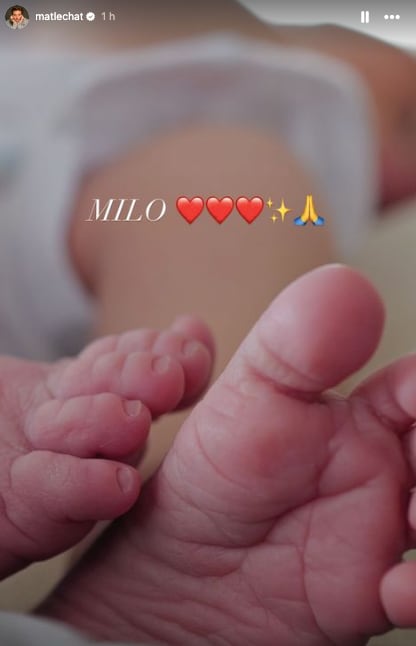 Primeras fotografías de Milo