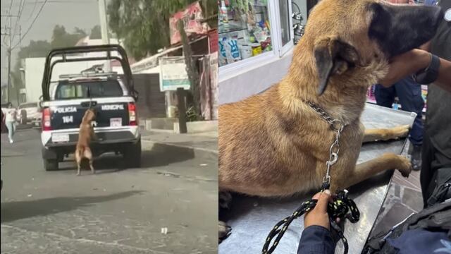 VIDEO: Acusan que patrulla de policía de Tizayuca arrastró a perrita, pero los agentes cuentan lo que pasó en realidad