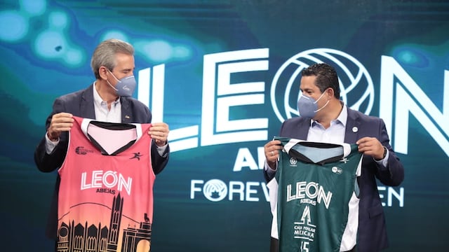 Jersey Abejas de León