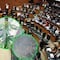 Cámara de Senadores ya retiró la planta de marihuana que crecía inadvertida en una maceta