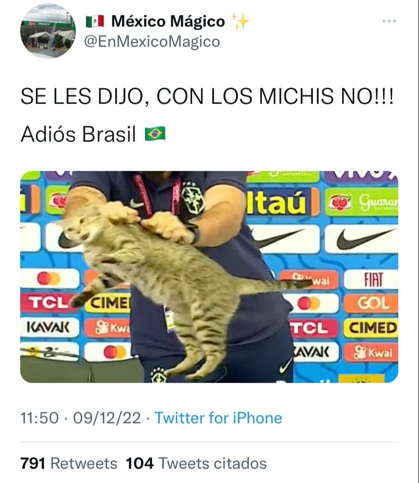 La Selección de Brasil fue víctima de "la maldición del gato".