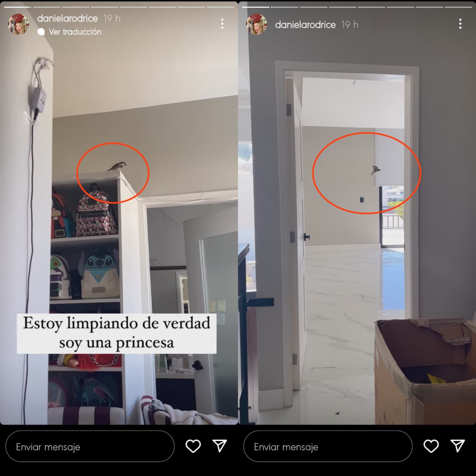 Daniela Rodrice es invadida por pájaros mientras limpia.
