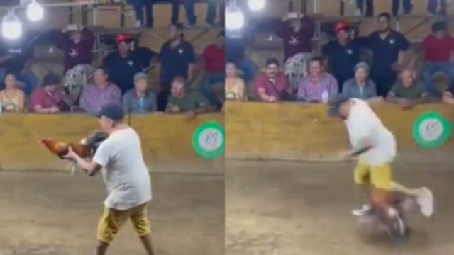 Hombre es herido en la pierna por su gallo de pelea en palenque de Colima