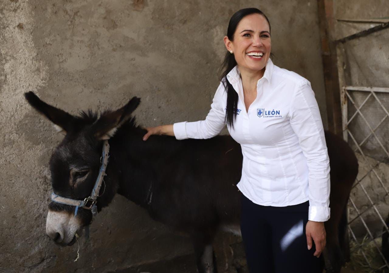 Presidenta municipal de León, Guanajuato, en el intercambio de animales de arrastre por motos de carga