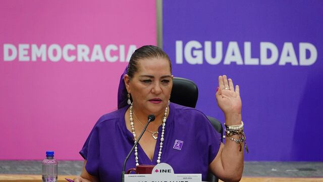 Guadalupe Taddei Zavala, consejera presidenta del INE
