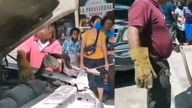 Encuentran a Boa en cofre de camioneta