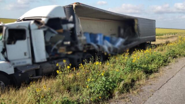 Tráiler choca en Tamaulipas; llevaba 4 toneladas de perros y gatos muertos