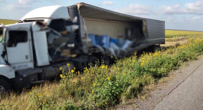 Tráiler choca en Tamaulipas; llevaba 4 toneladas de perros y gatos muertos