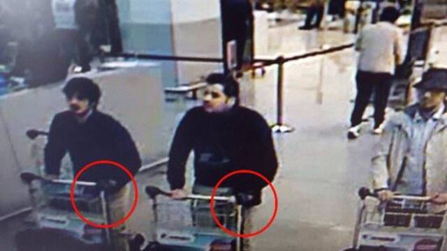 Un portal informativo de Bélgica divulgó la imagen como exclusiva