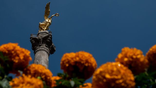 Flores de cempasúchil en el Ángel de la Independencia