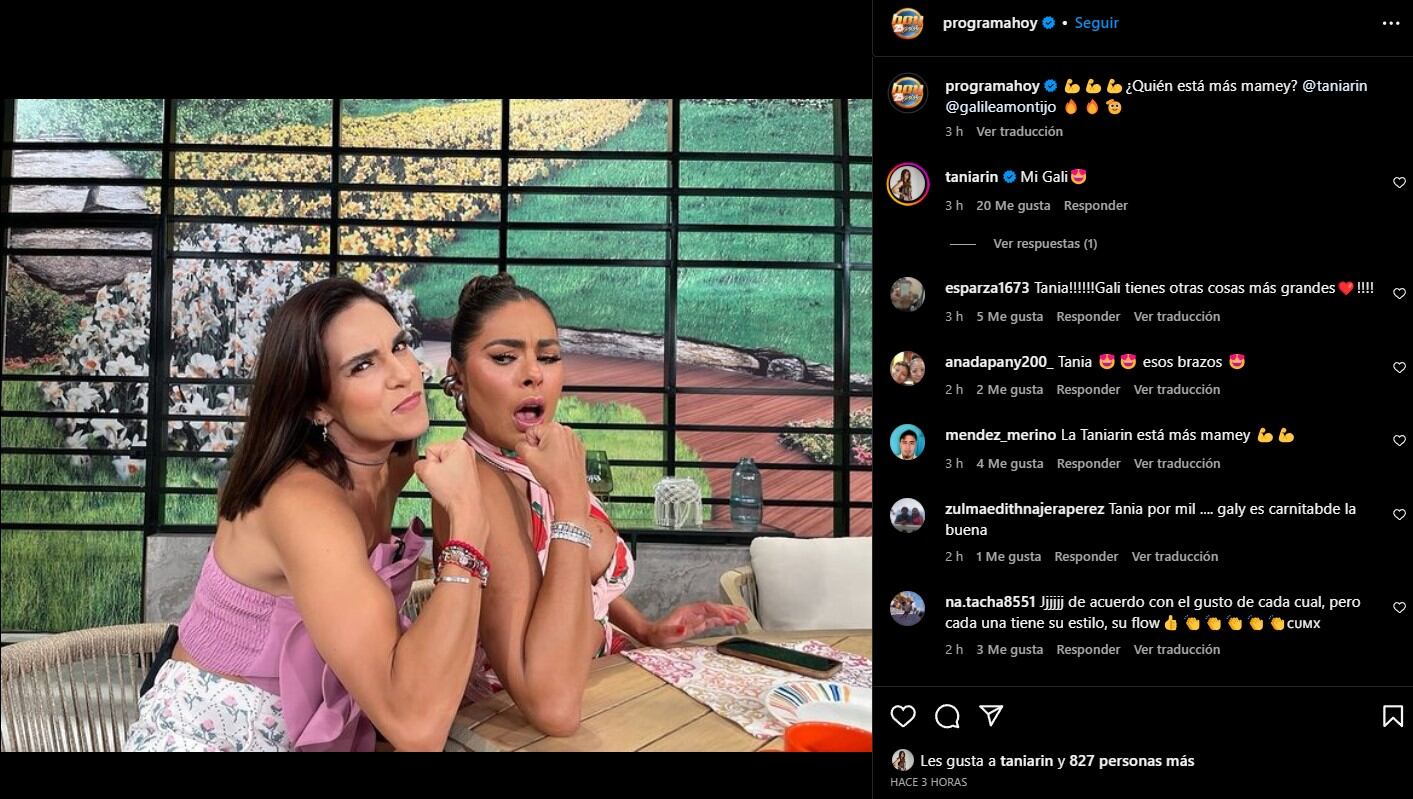 ¿Galilea Montijo o Tania Rincón?