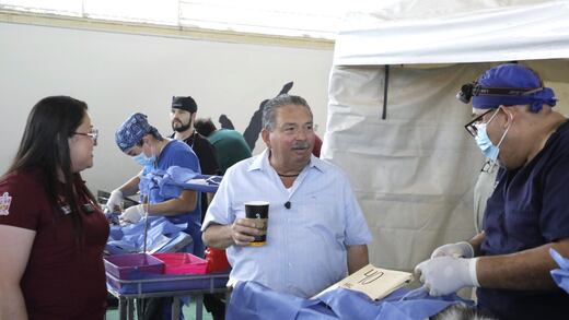 Escobedo realiza jornada de esterilización gratuita para perros y gatos