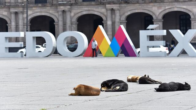 sacar al perro sin correa multa ecatepec edomex dejar heces en la calle