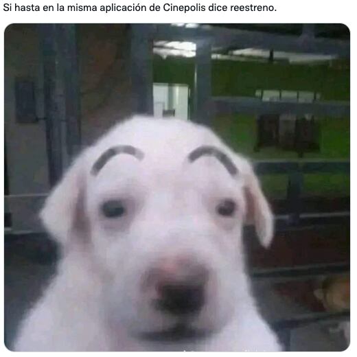 Usuarios fueron a ver reestreno de Avatar 1 pensado que era Avatar 2