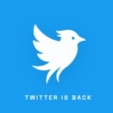 Twitter Now ya está disponible: Operation Bluebird anuncia su lanzamiento oficial