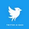 Twitter Now ya está disponible: Operation Bluebird anuncia su lanzamiento oficial
