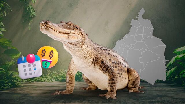 Día Nacional del Cocodrilo en México