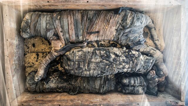 Momias de animales encontradas en Egipto