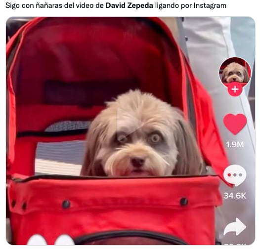 Memes de David Zepeda