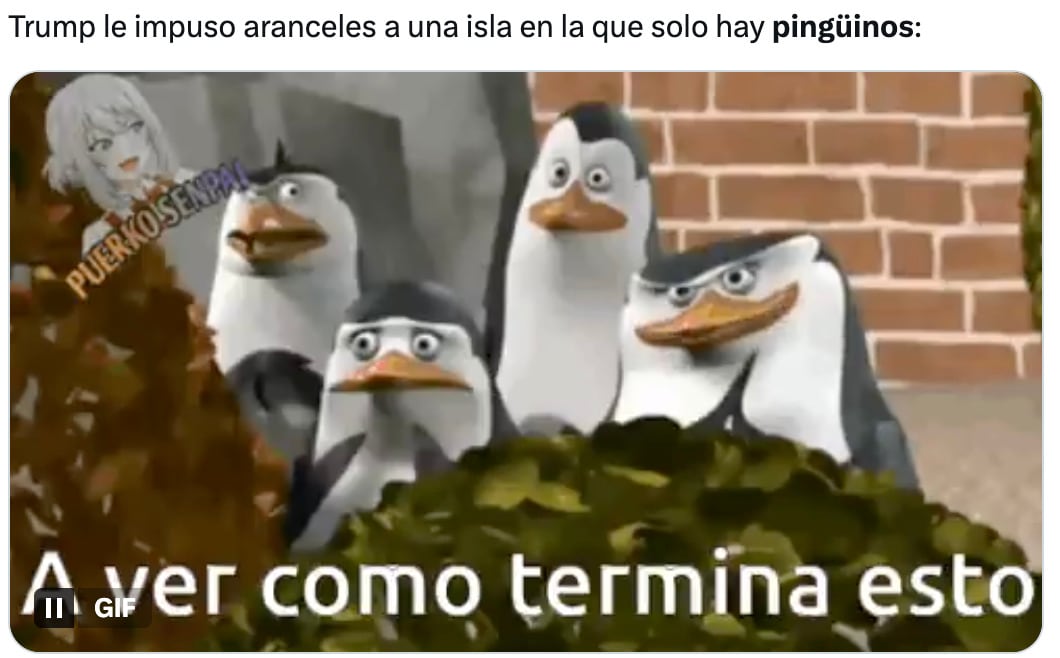 Los memes sobre los aranceles a pingüinos por Donald Trump