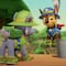 25 minutos de rescates de Paw Patrol en la selva en YouTube y español por el Día Mundial de las Jirafas