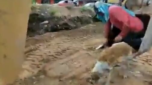 Trabajador rescatando a perrito que cayo en un canal de agua