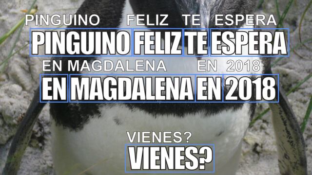 Facebook crea sistema para identificar memes ofensivos