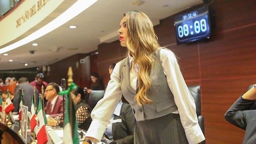 Ruth González destaca iniciativa sobre maltrato animal en nueva Ley General de Bienestar Animal