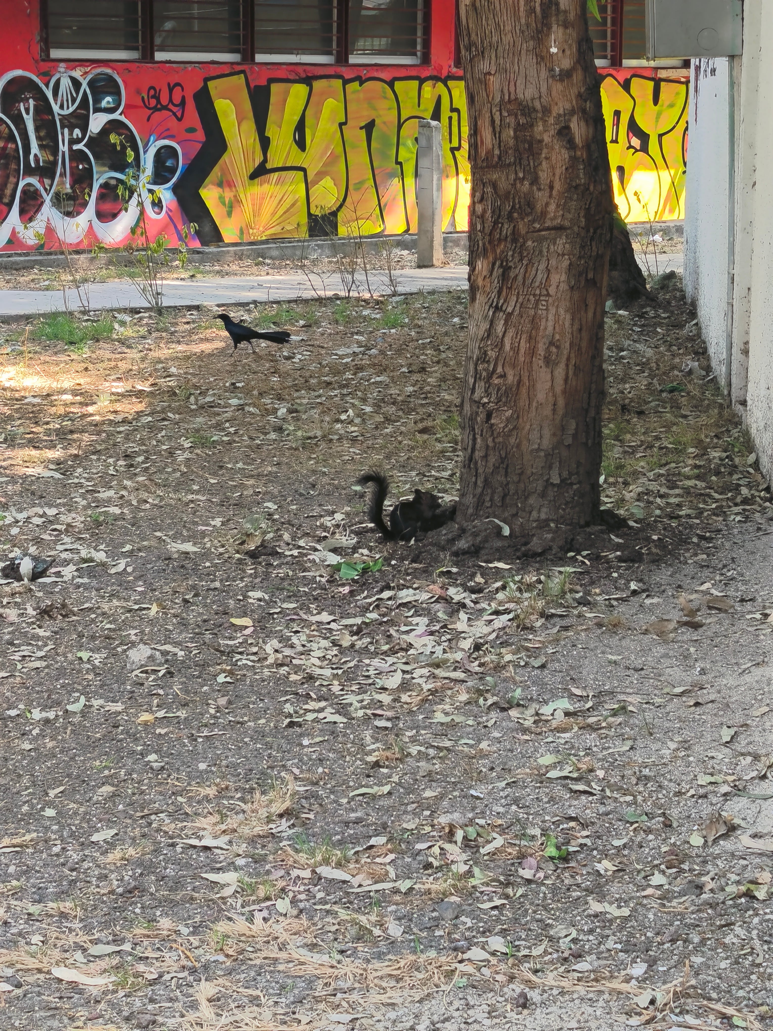 Foto tomada con el Redmi Note 15 Pro 5G