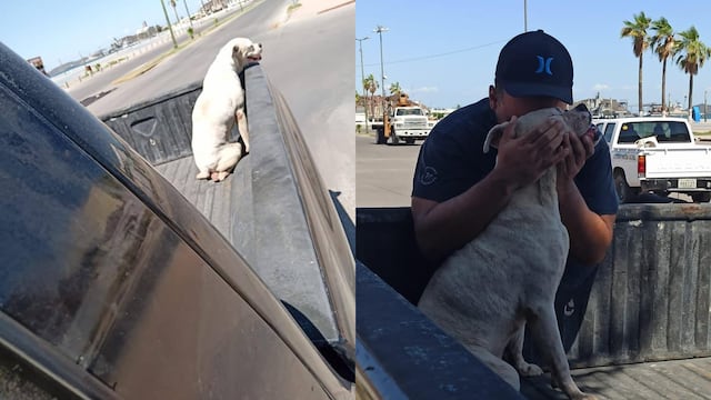 Perrito Mace y su dueño