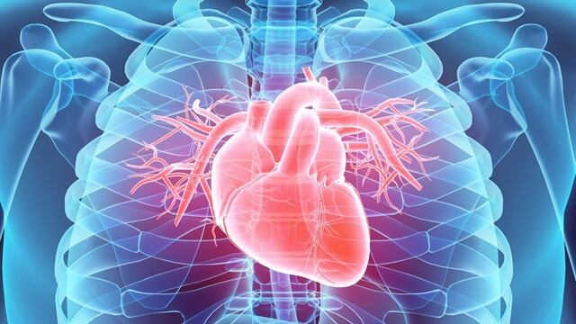 Corazón
