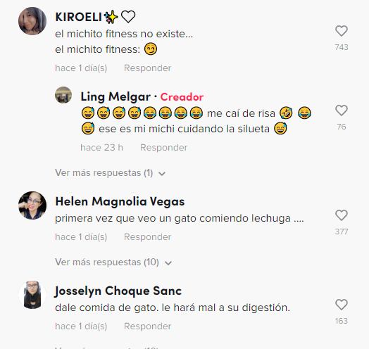 Reacción al Gatito que se cría entre conejos y ahora come lechuga