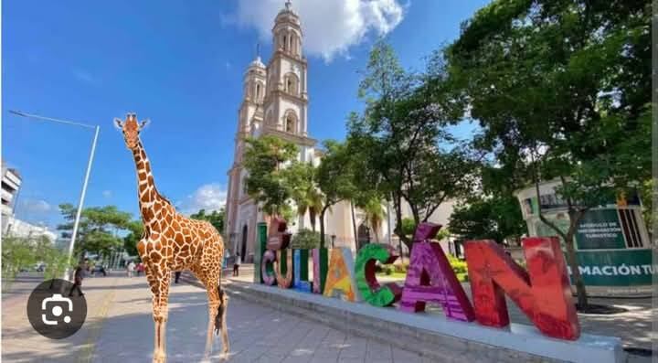 Jirafa en Culiacán
