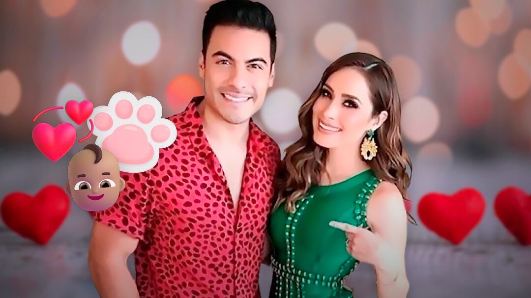 Carlos Rivera y Cynthia Rodríguez agrandan la familia con un tierno y peludo integrante