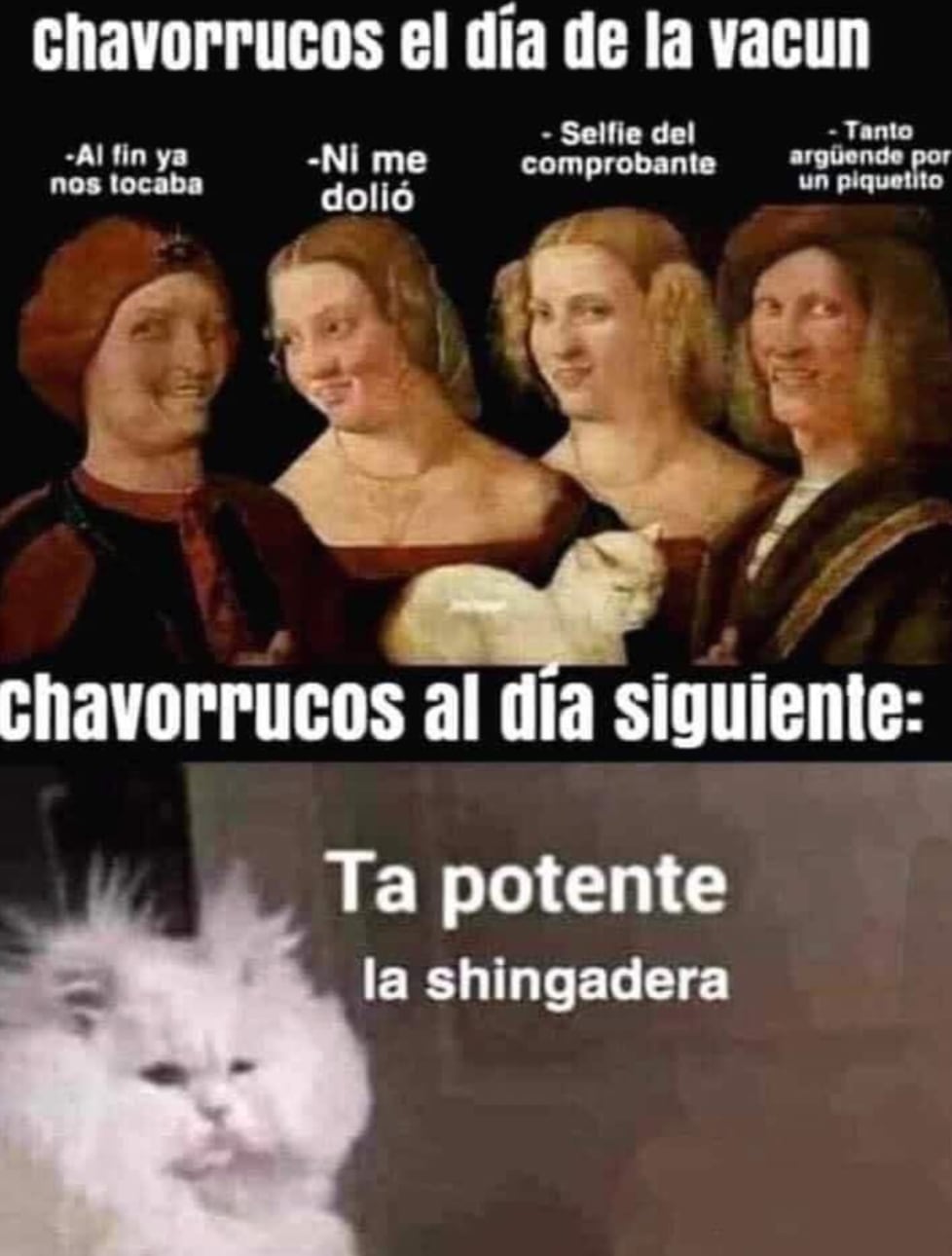 Meme vacunación 30 a 39 años