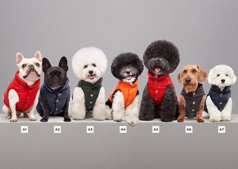 Ropa para mascotas