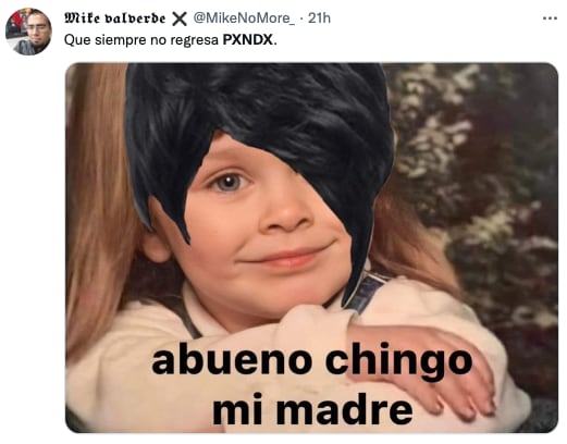 Regreso de PXNDX memes
