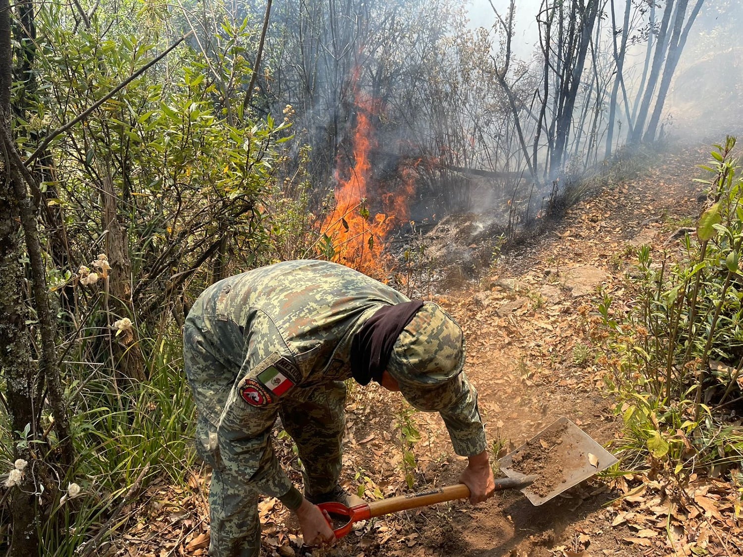 Incendios en el Edomex