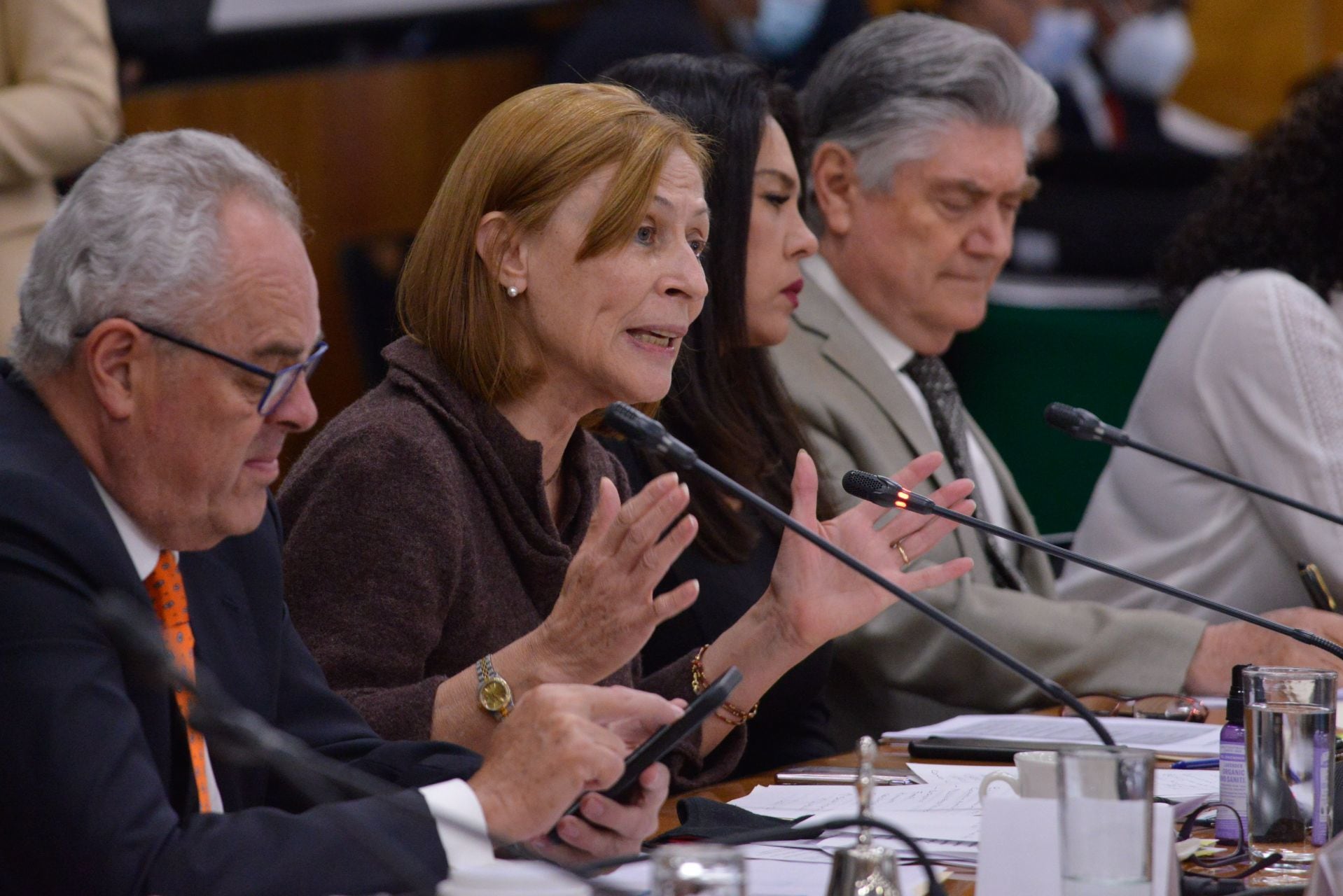 Tatiana Clouthier, secretaria de Economía
