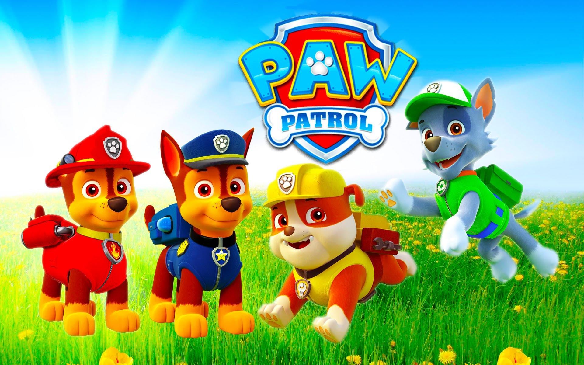 Rocky Paw Patrol en estos fondos de pantalla para smartphone