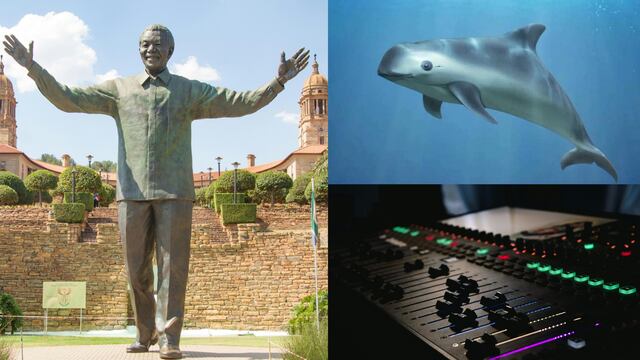 Este 18 de julio es el Día Internacional de Nelson Mandela, Día Internacional de la Vaquita Marina y Día Mundial de la Escucha