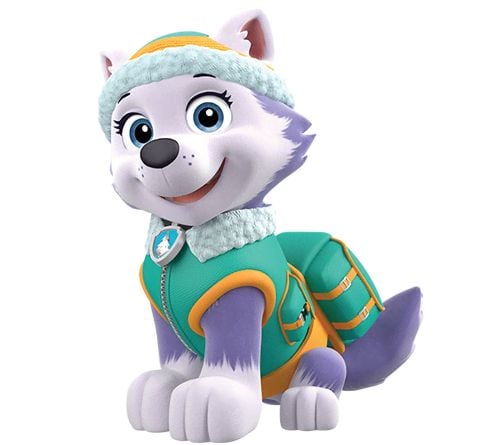 Everest de Paw Patrol