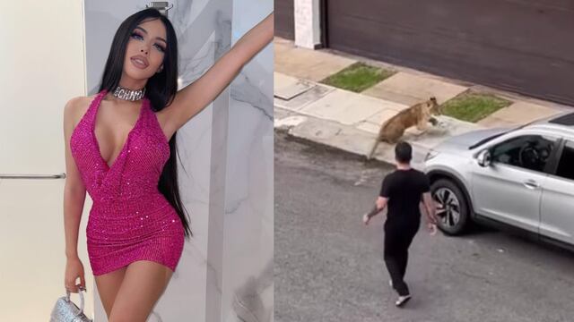 Yeri Mua, león en su fraccionamiento