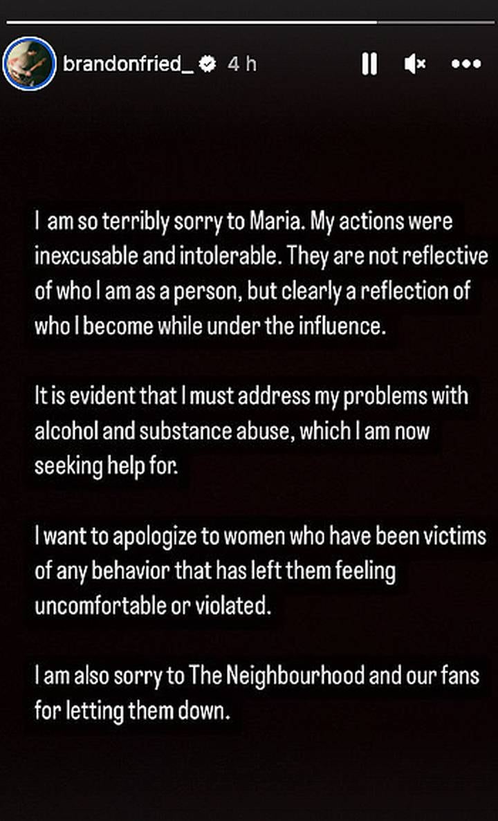 Historia de Brandon Fried