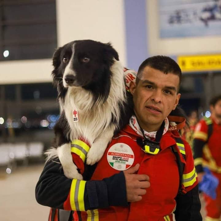 Asesino de Athos y Tango pasará 10 años en prisión.