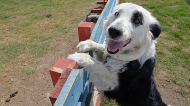 Artemio Guerra Baz / Cuartoscuro