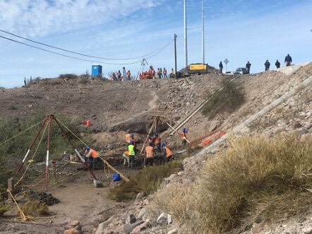Trabajadores en manglar