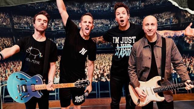 Simple Plan: The Kids in the Crowd